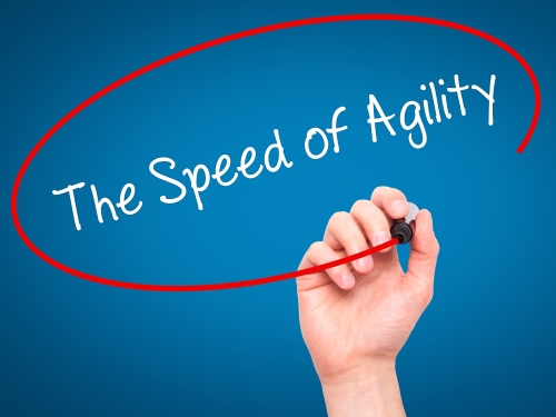 agility500